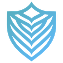 Traitement de la mérule au Mans (72000)